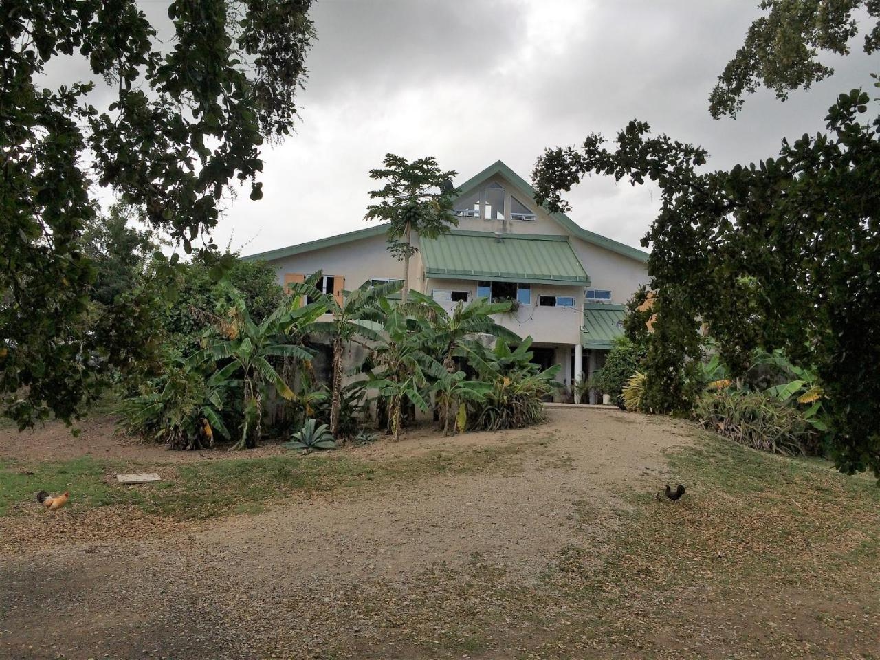 Bed and Breakfast 4 Casitas Cabo Rojo Zewnętrze zdjęcie